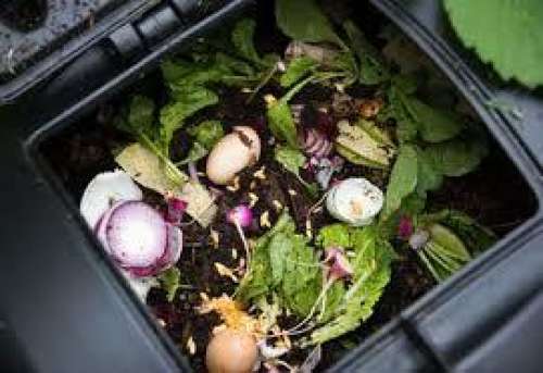Composting and Lawn Care