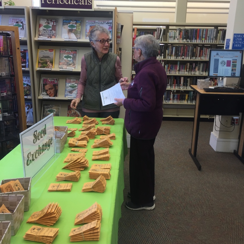 Seed Table and our volunteers