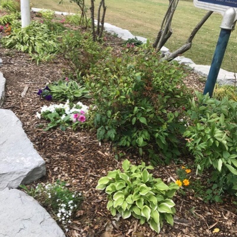 Park Entrance Garden 