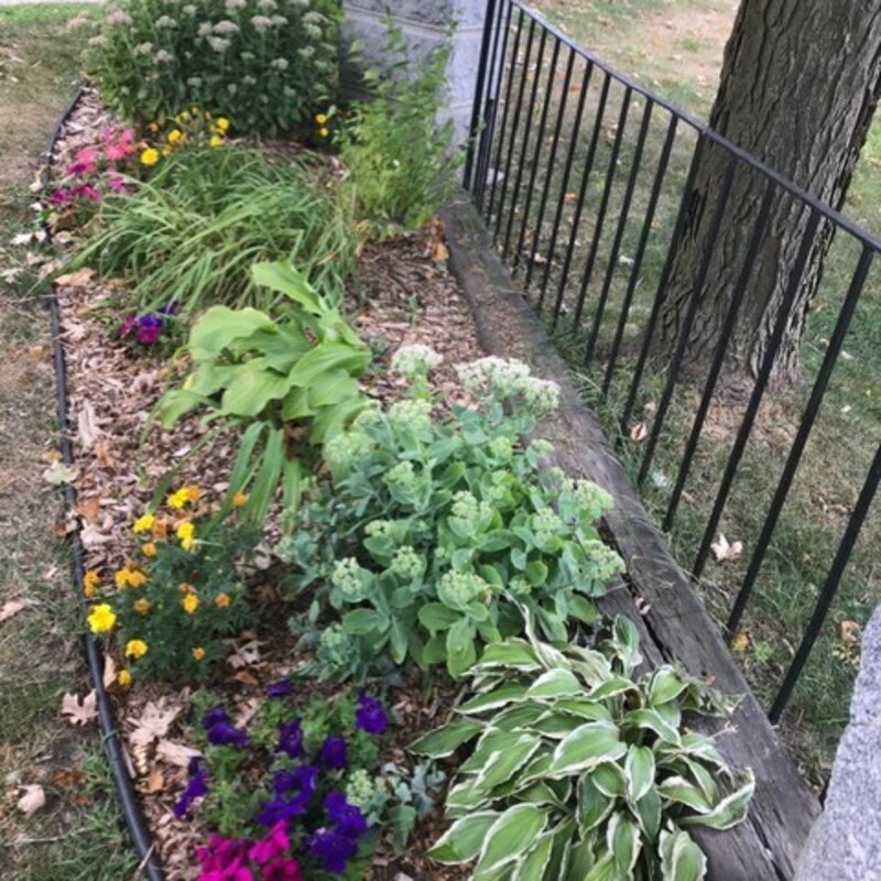 Park Entrance Garden