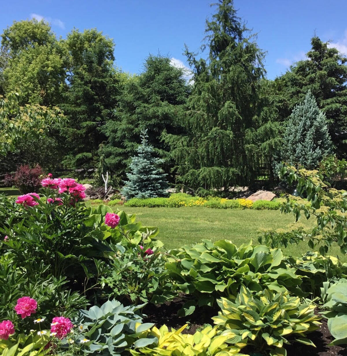 Meadow Farms Garden Tour