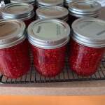 Home Preserving by Liza Williams