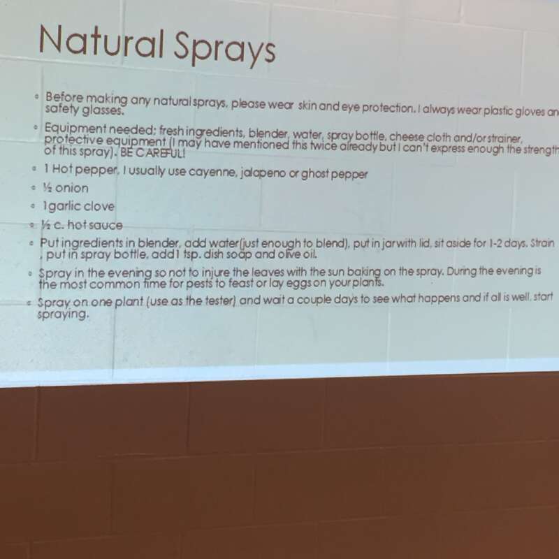 Natural Spray