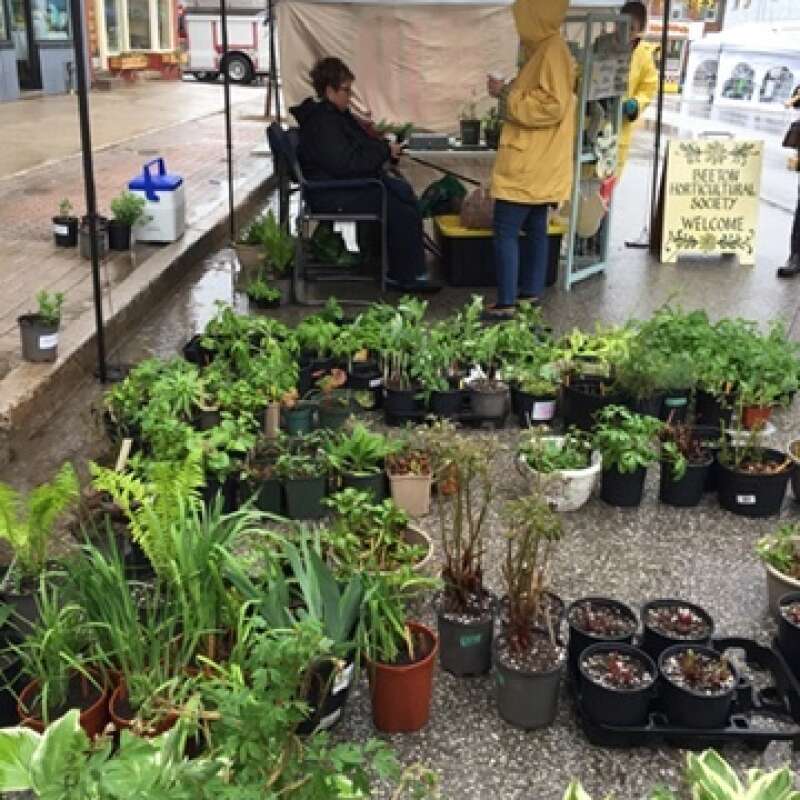 Plant Sale 2019