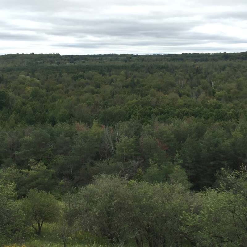 Hockley Valley