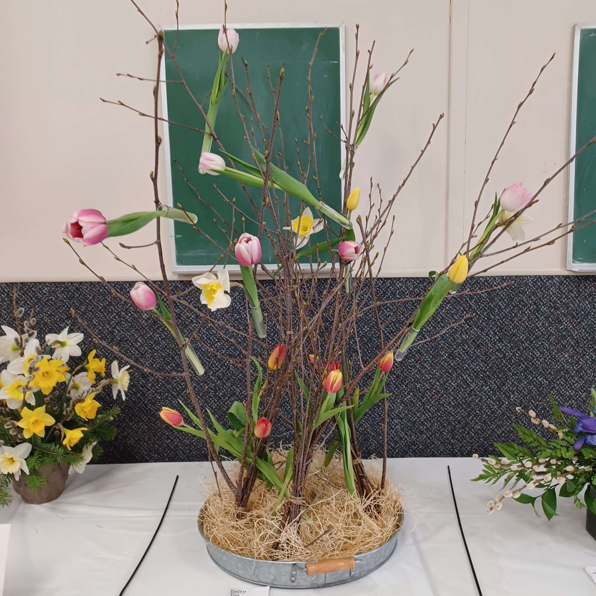 Ontario Horticultural Association Spring 2025 Meeting - Flower 🌼 Show #3