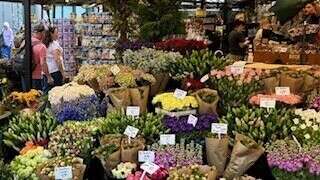 Amsterdam Floating Flower Market