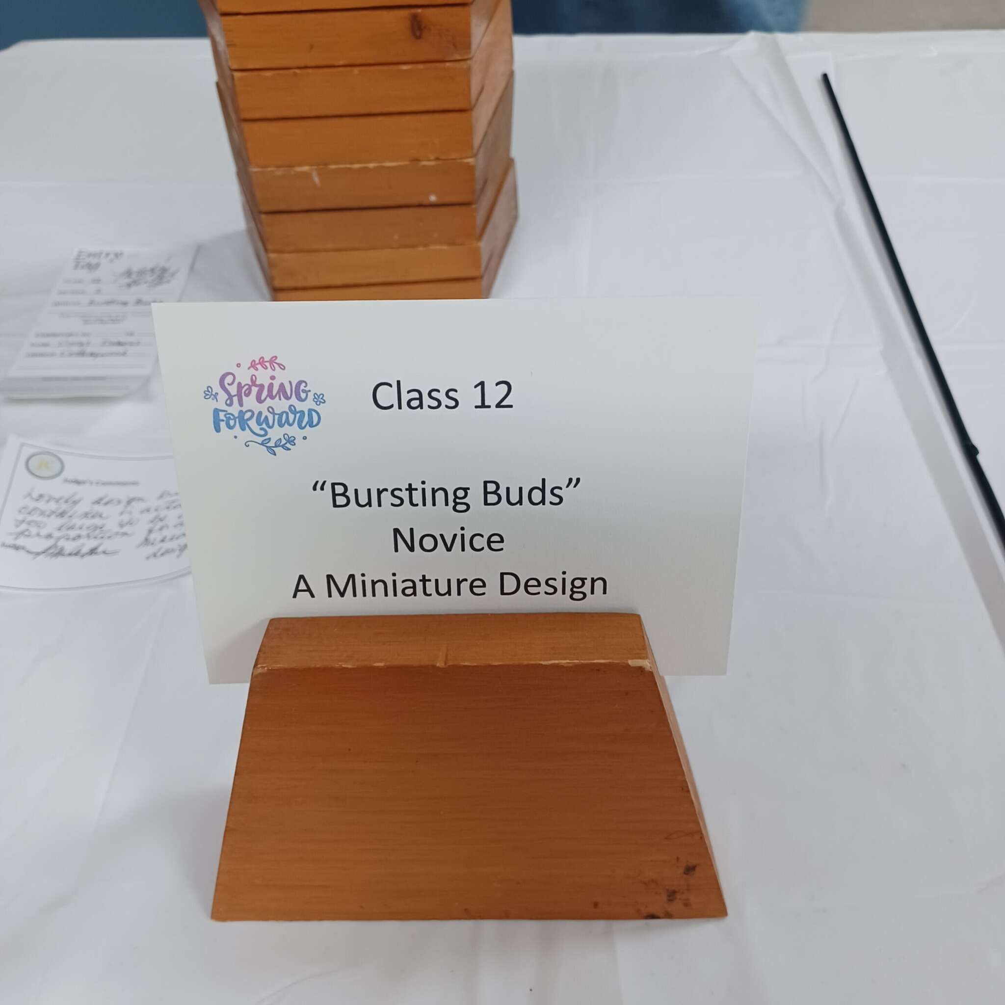 Ontario Horticultural Association Spring 2025 Meeting - Miniature Designs Collection