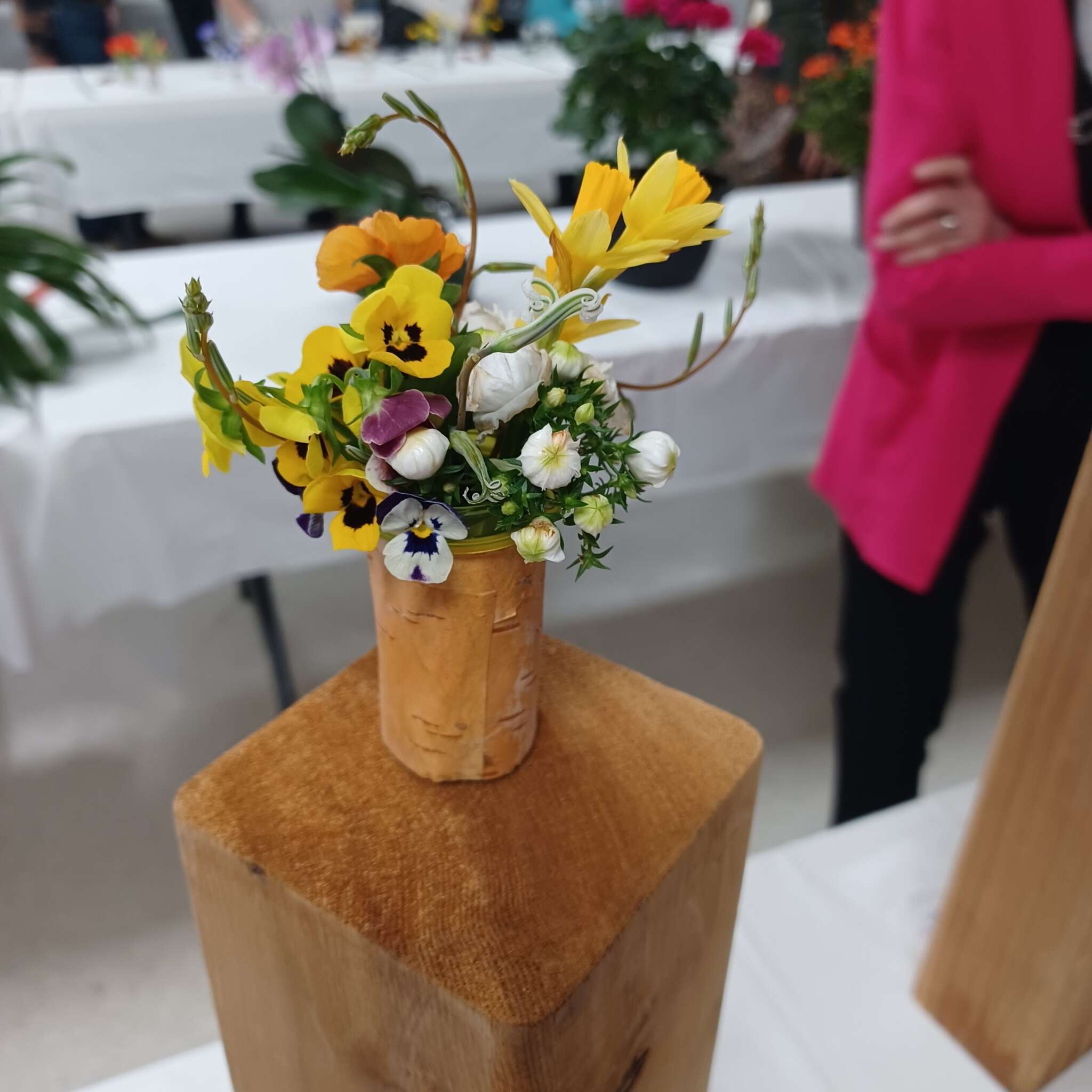 Ontario Horticultural Association Spring 2025 Meeting - Miniature Designs Collection #4