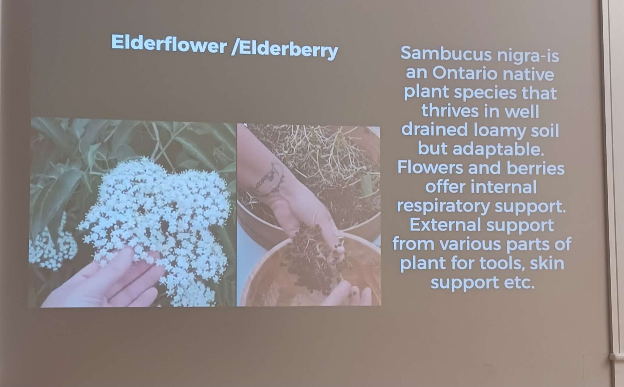 Seedy Saturday 2026