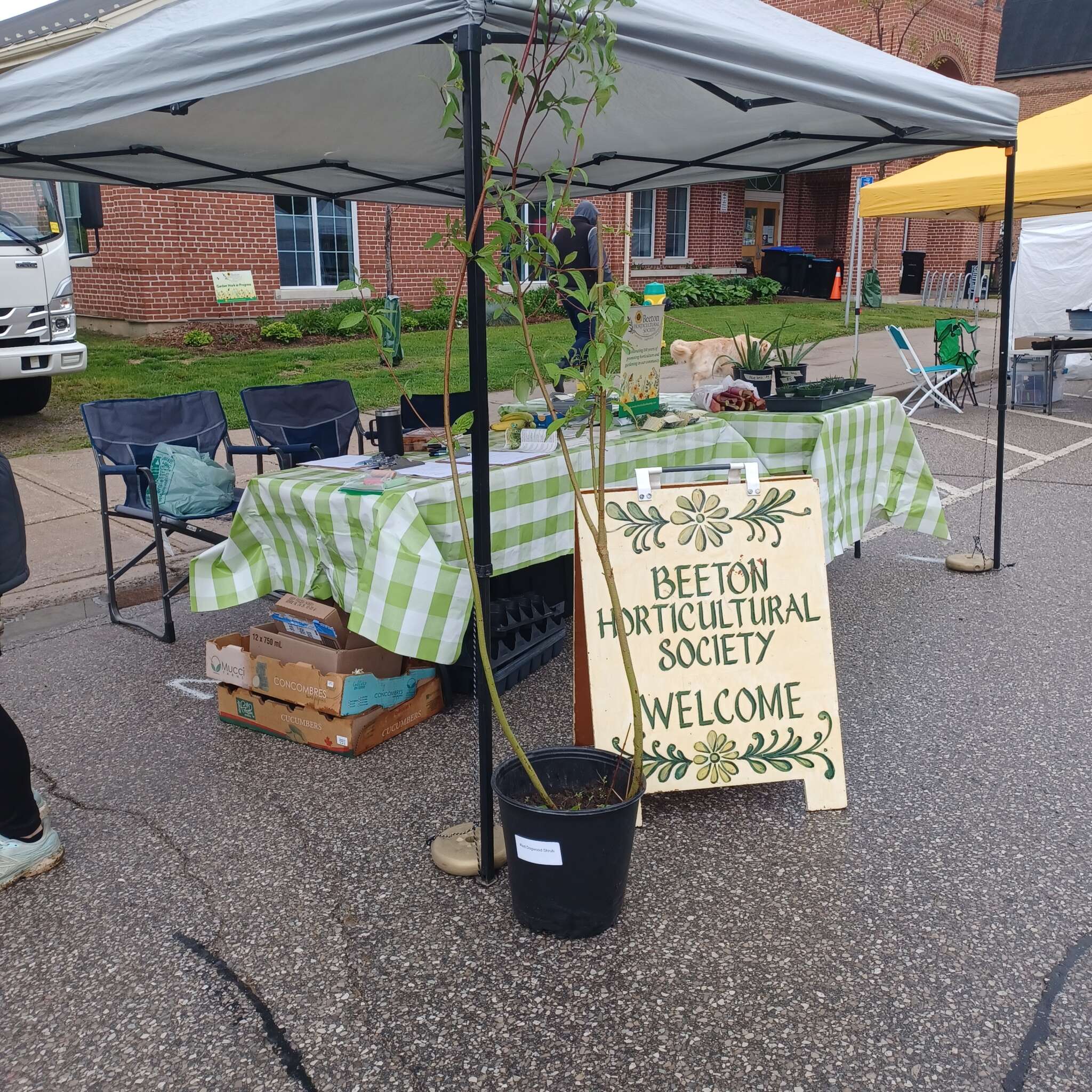 Beeton Honey & Garden Festival - Plant Sale