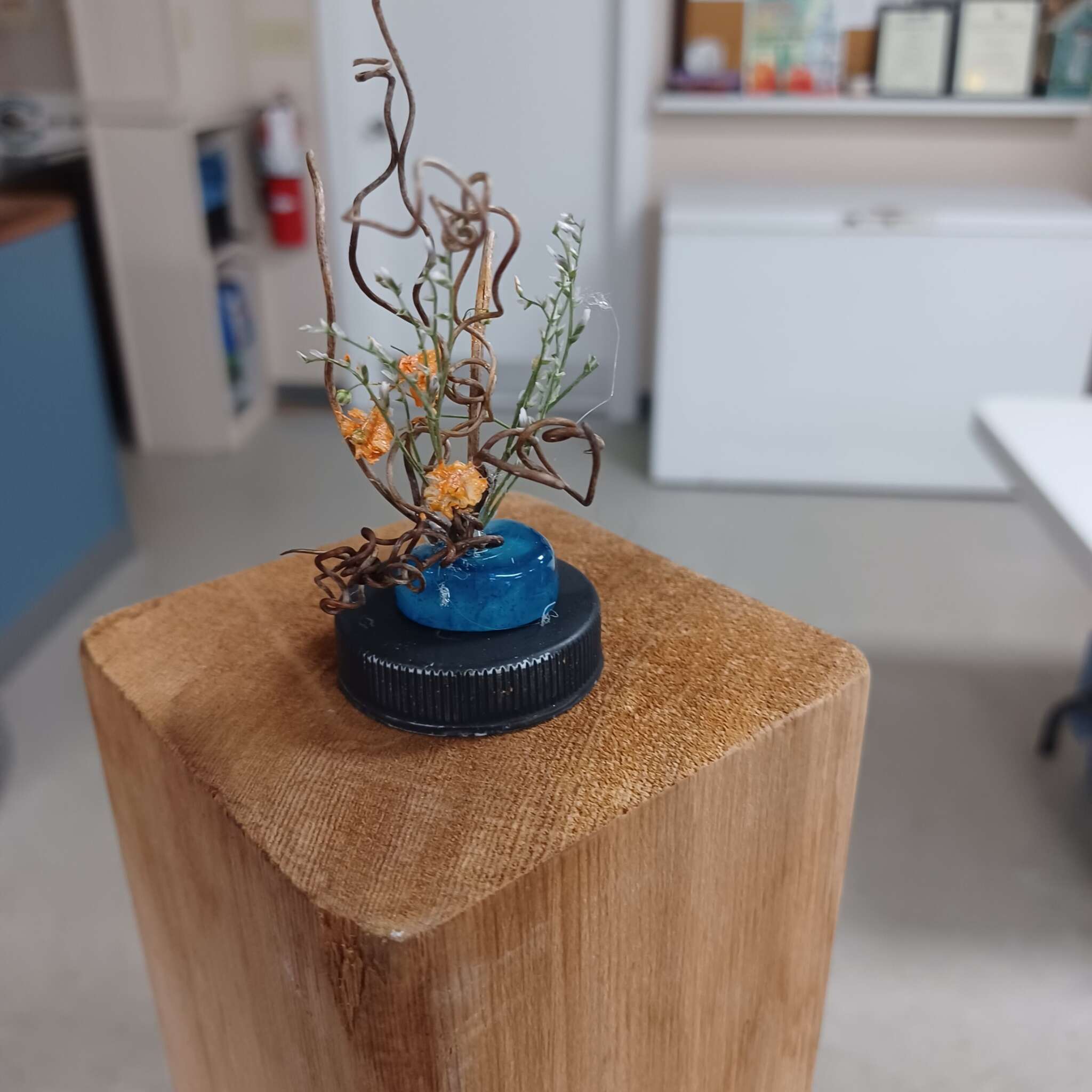 Ontario Horticultural Association Spring 2025 Meeting - Miniature Designs Collection #6