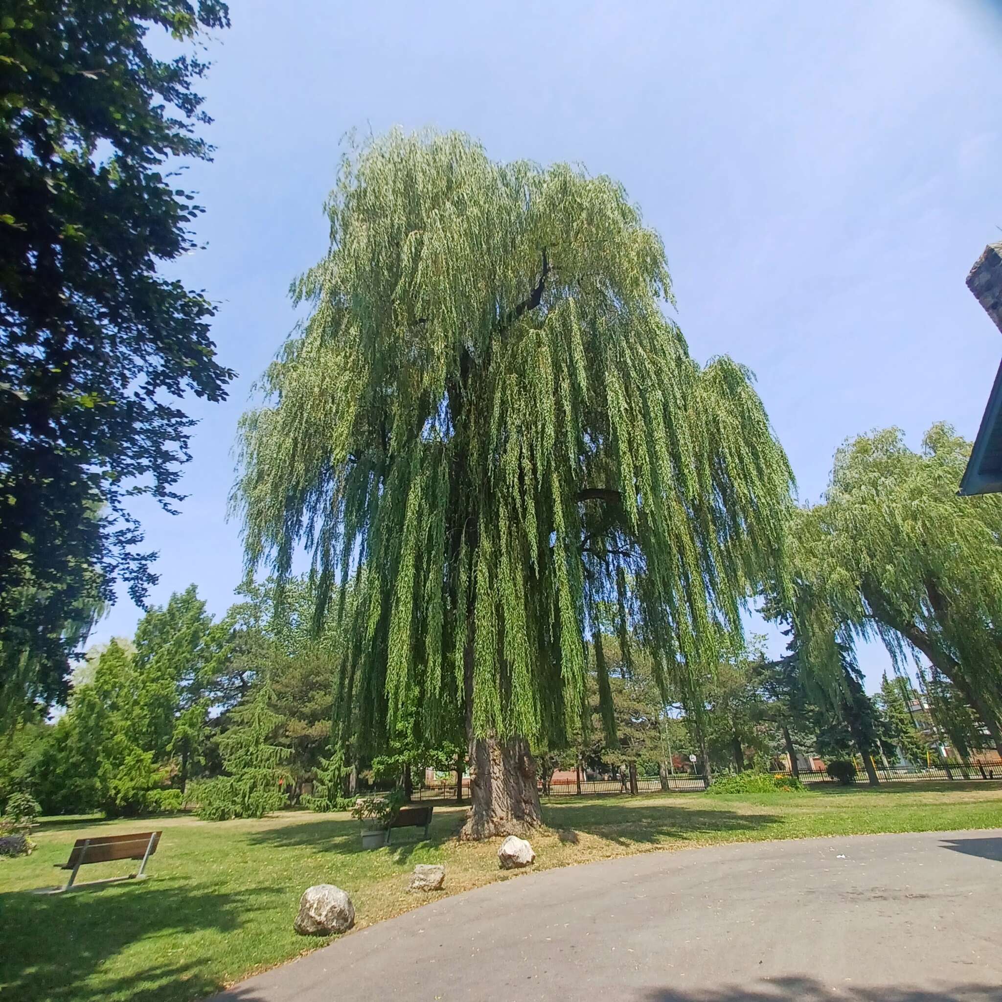 August 10th, 2025-Toronto Botanical Garden
