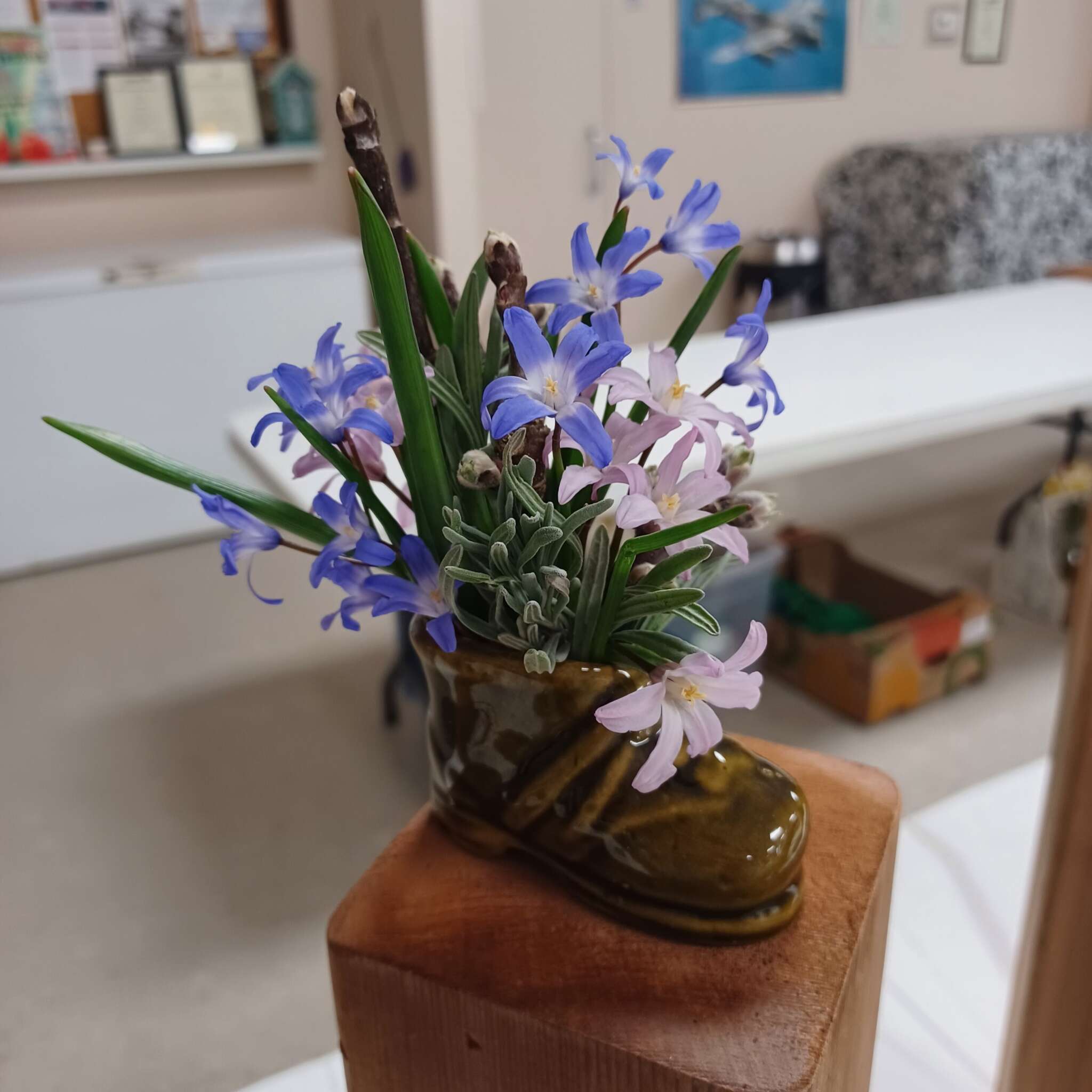 Ontario Horticultural Association Spring 2025 Meeting - Miniature Designs Collection #1