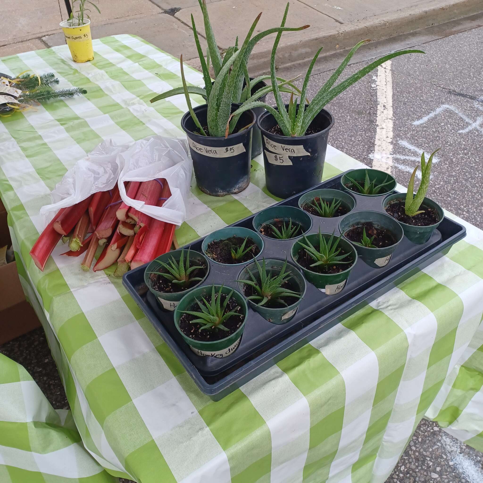 Beeton Honey & Garden Festival - Plant Sale