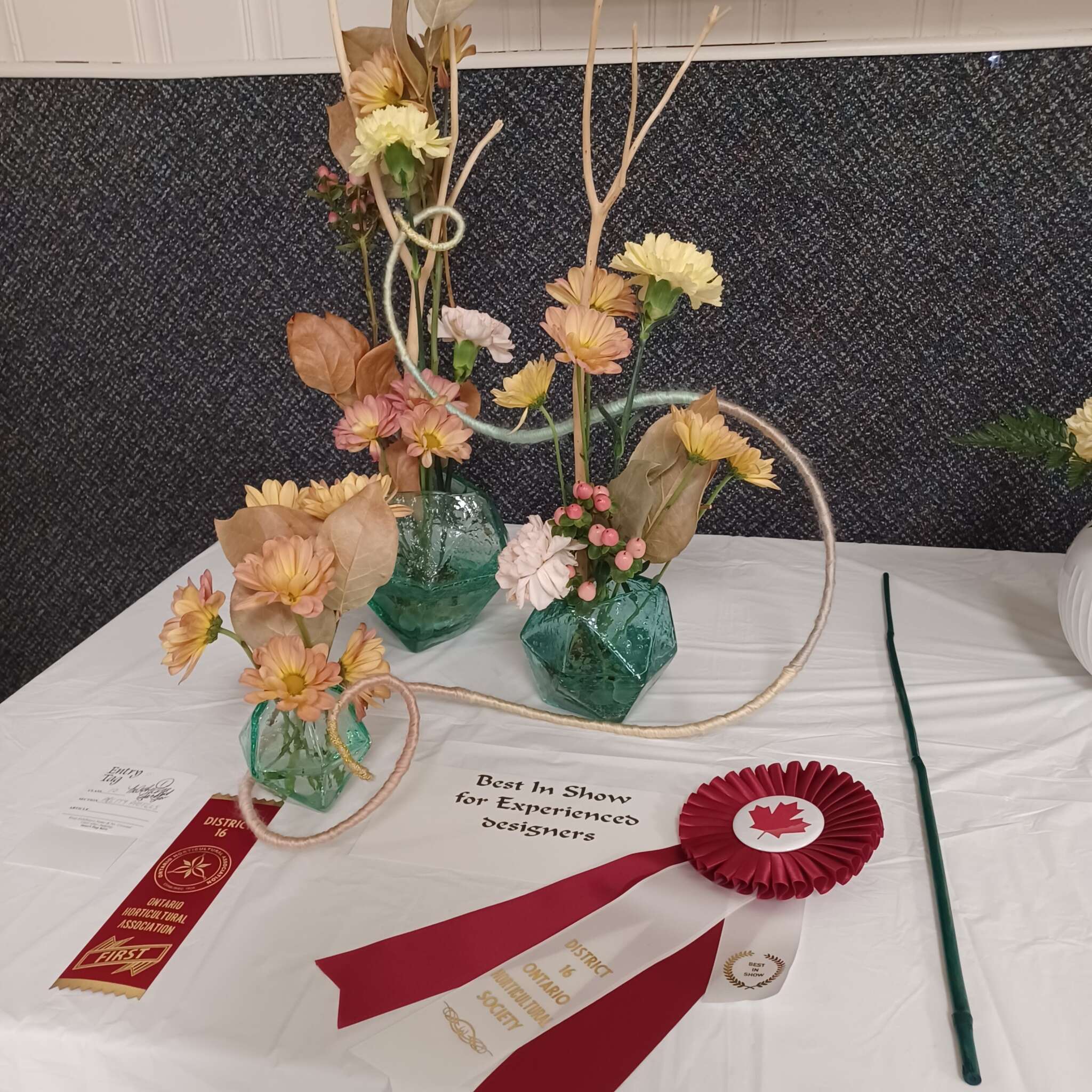 Ontario Horticultural Association Spring 2025 Meeting - Flower 🌼 Show #11