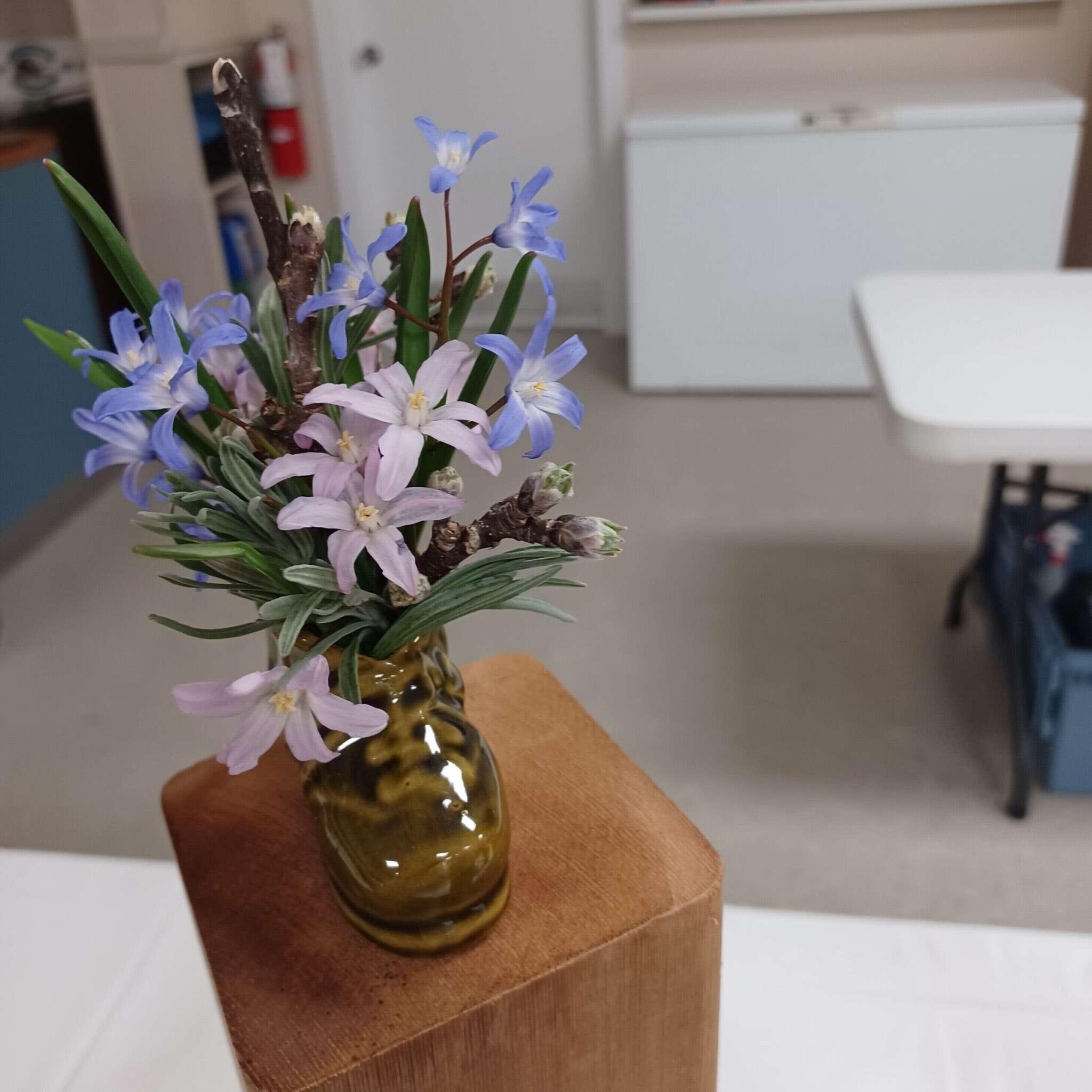 Ontario Horticultural Association Spring 2025 Meeting - Miniature Designs Collection #2