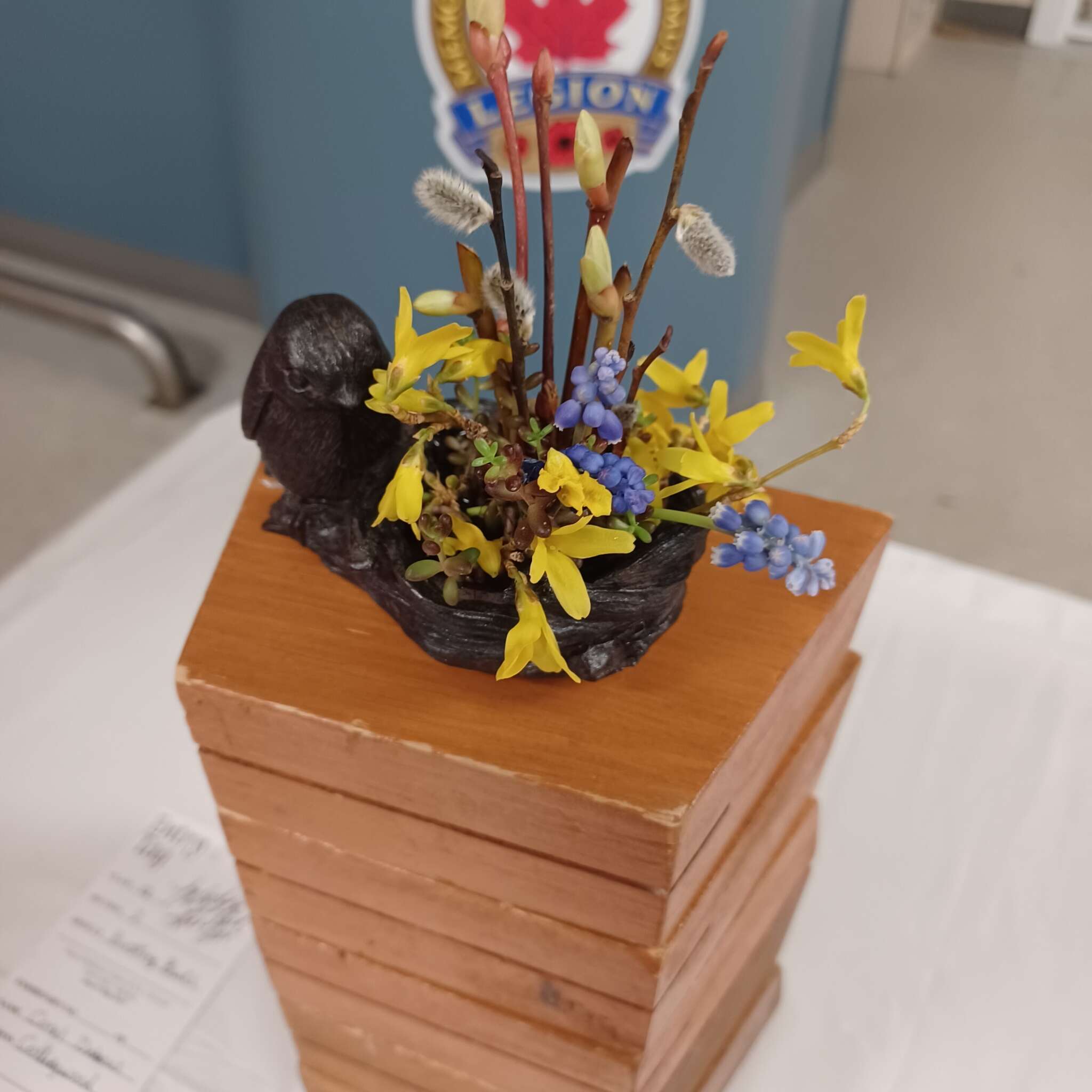 Ontario Horticultural Association Spring 2025 Meeting - Miniature Designs Collection #8
