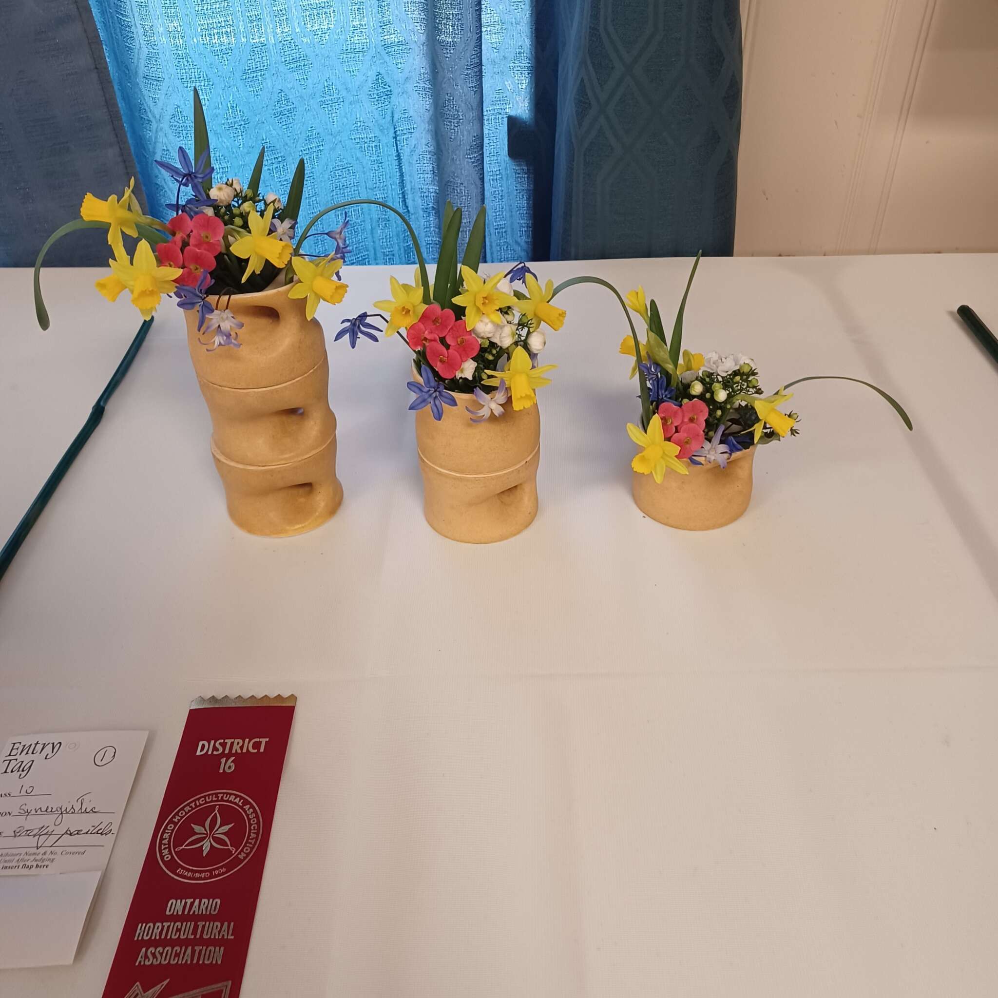 Ontario Horticultural Association Spring 2025 Meeting - Flower 🌼 Show #15