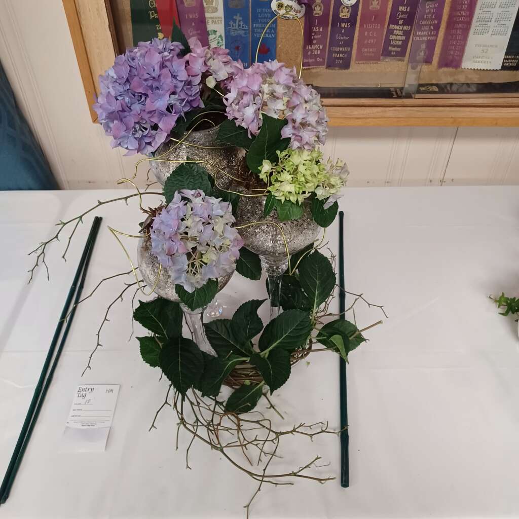 Flower 🌼 Show #13