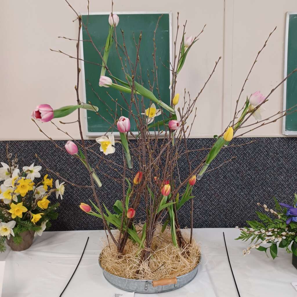 Flower 🌼 Show #3