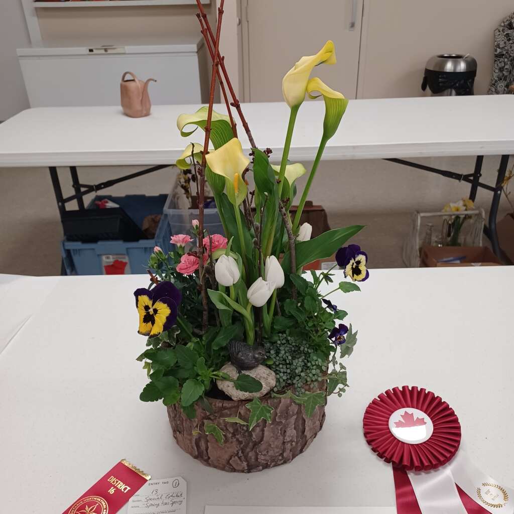 Flower 🌼 Show #20