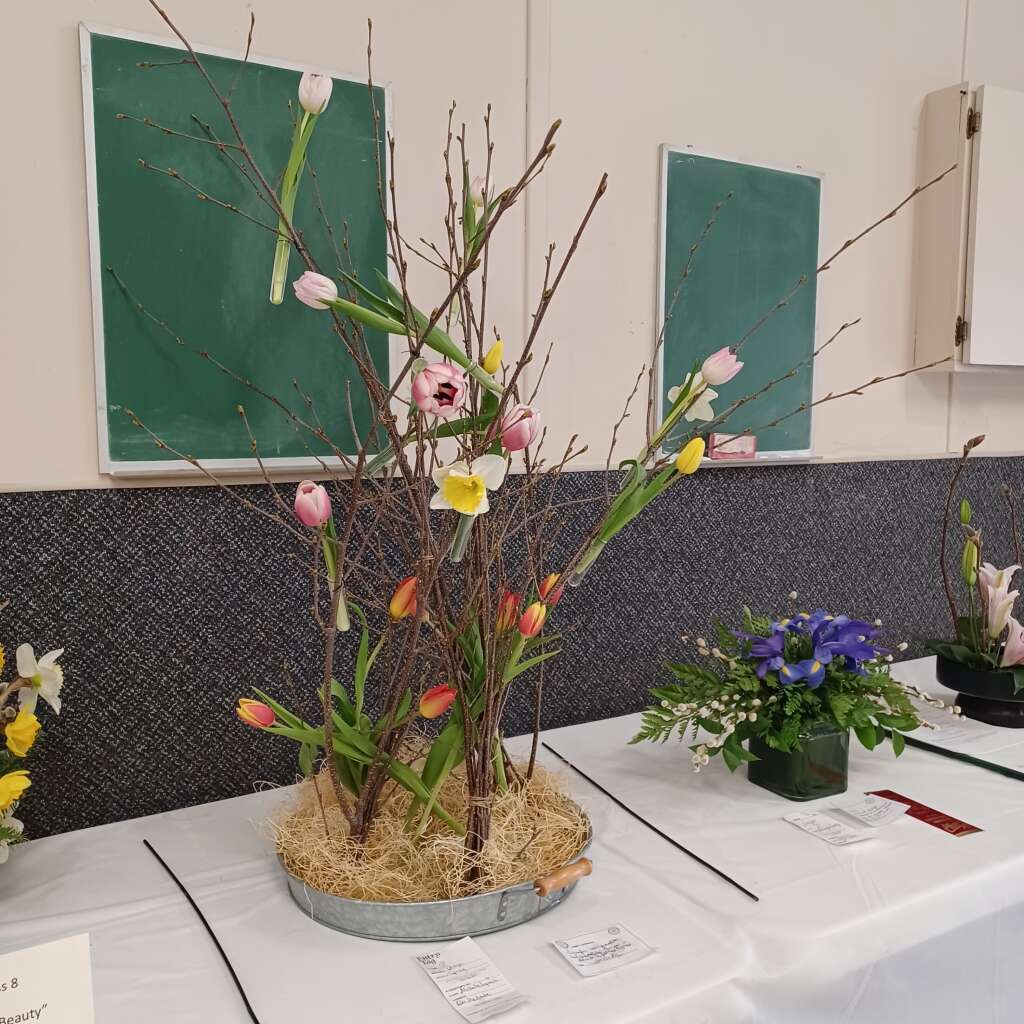 Flower 🌼 Show #3.1