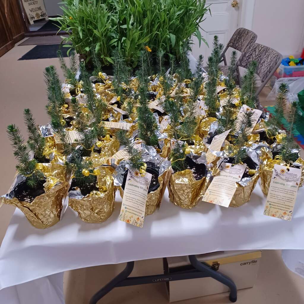 Setting Up For Our Luncheon. 3