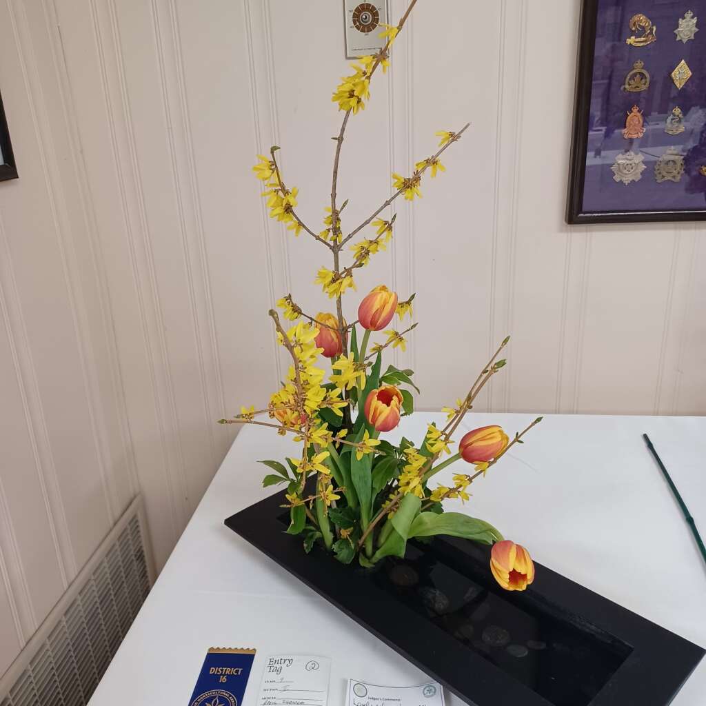 Flower 🌼 Show #9