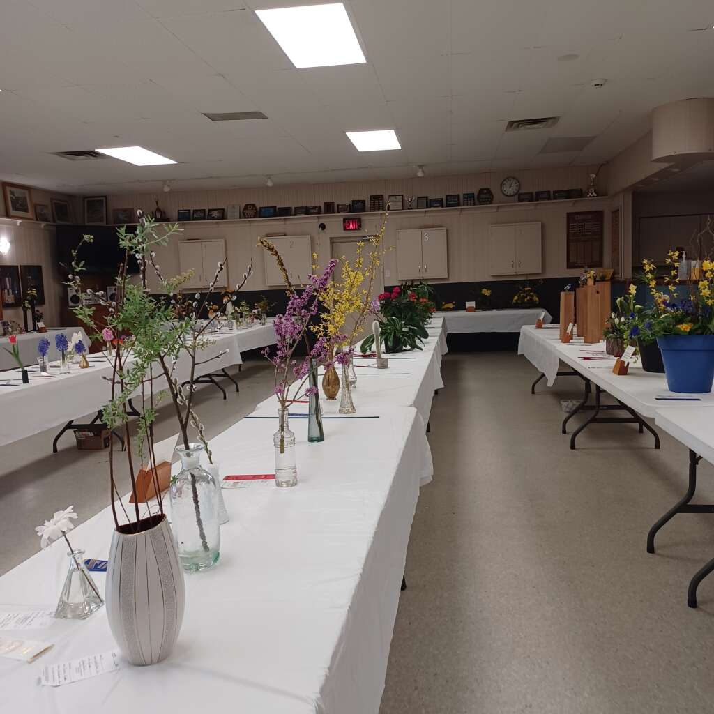 Flower 🌼 Show #4