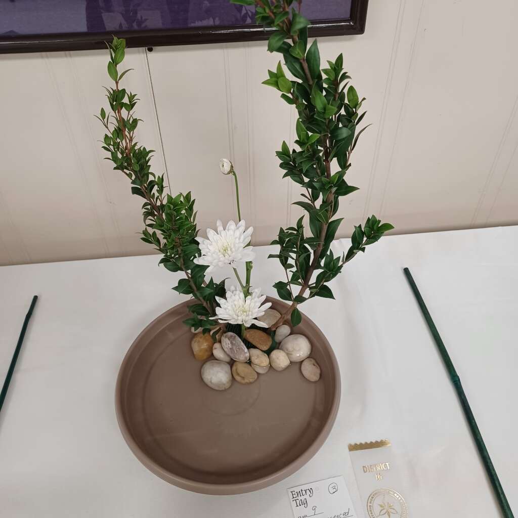 Flower 🌼 Show #8