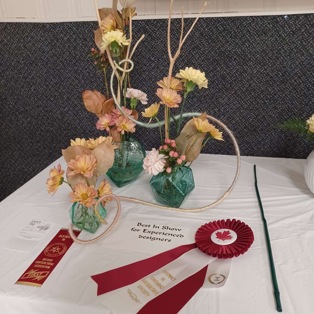Flower 🌼 Show #11