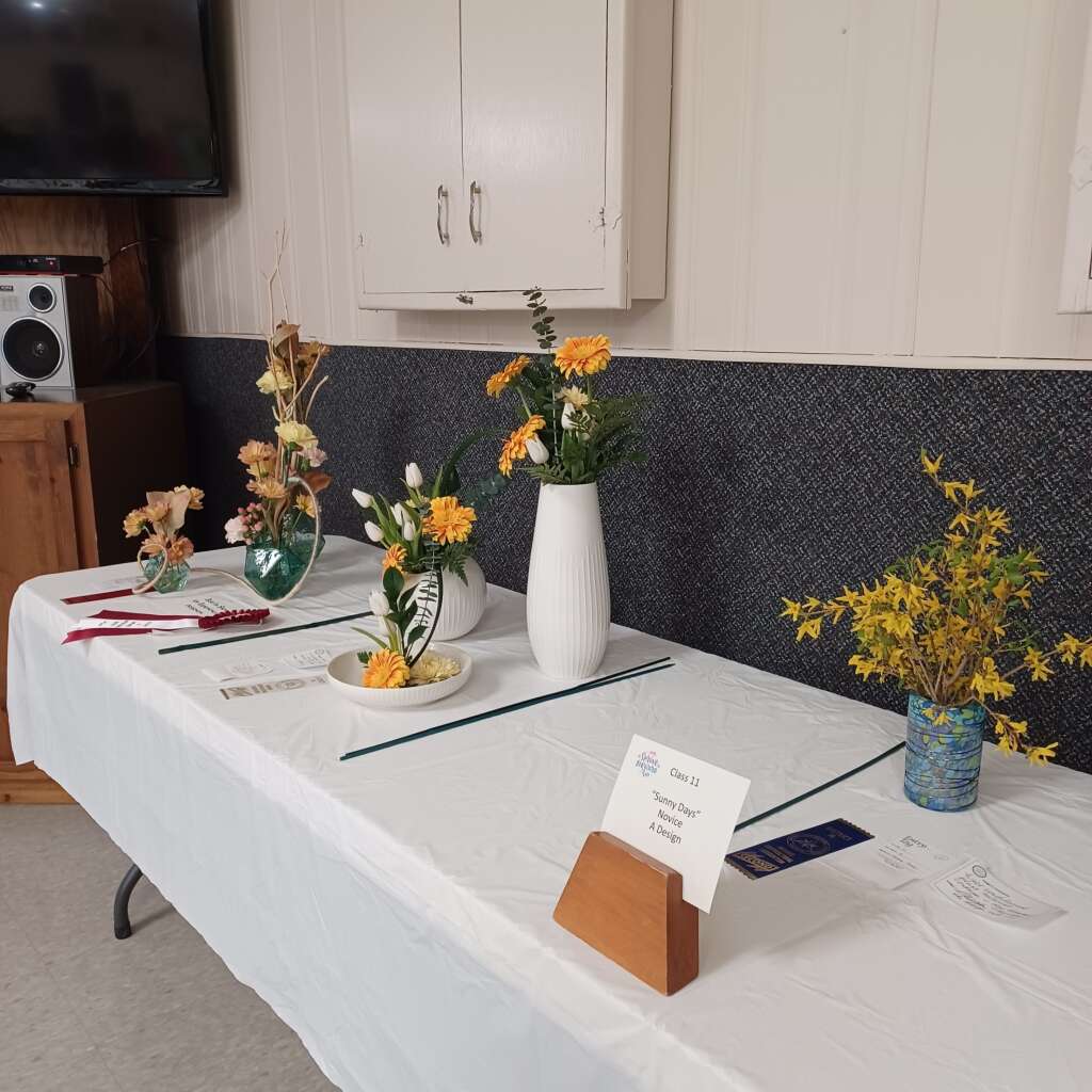 Flower 🌼 Show #10