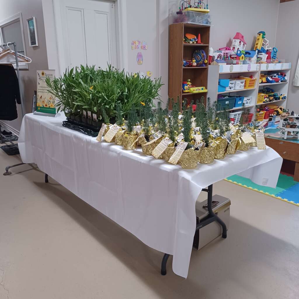 Setting Up For Our Luncheon. 2
