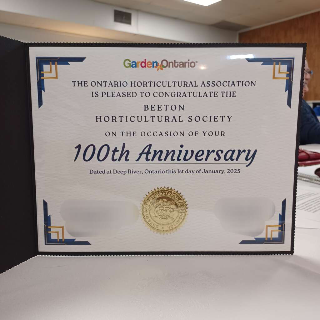 100 Anniversary Certificate .2